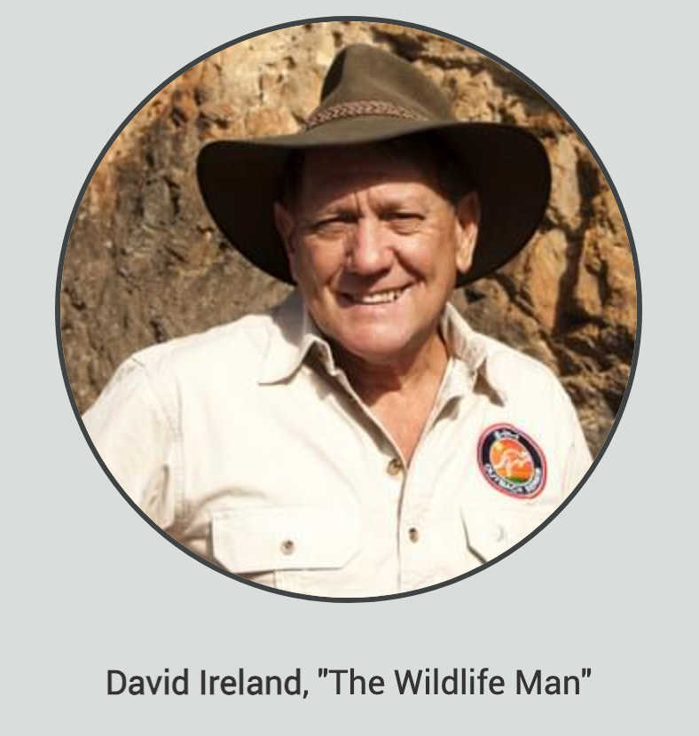 The Most Powerful All-Natural Relief Joint Pain Roll on