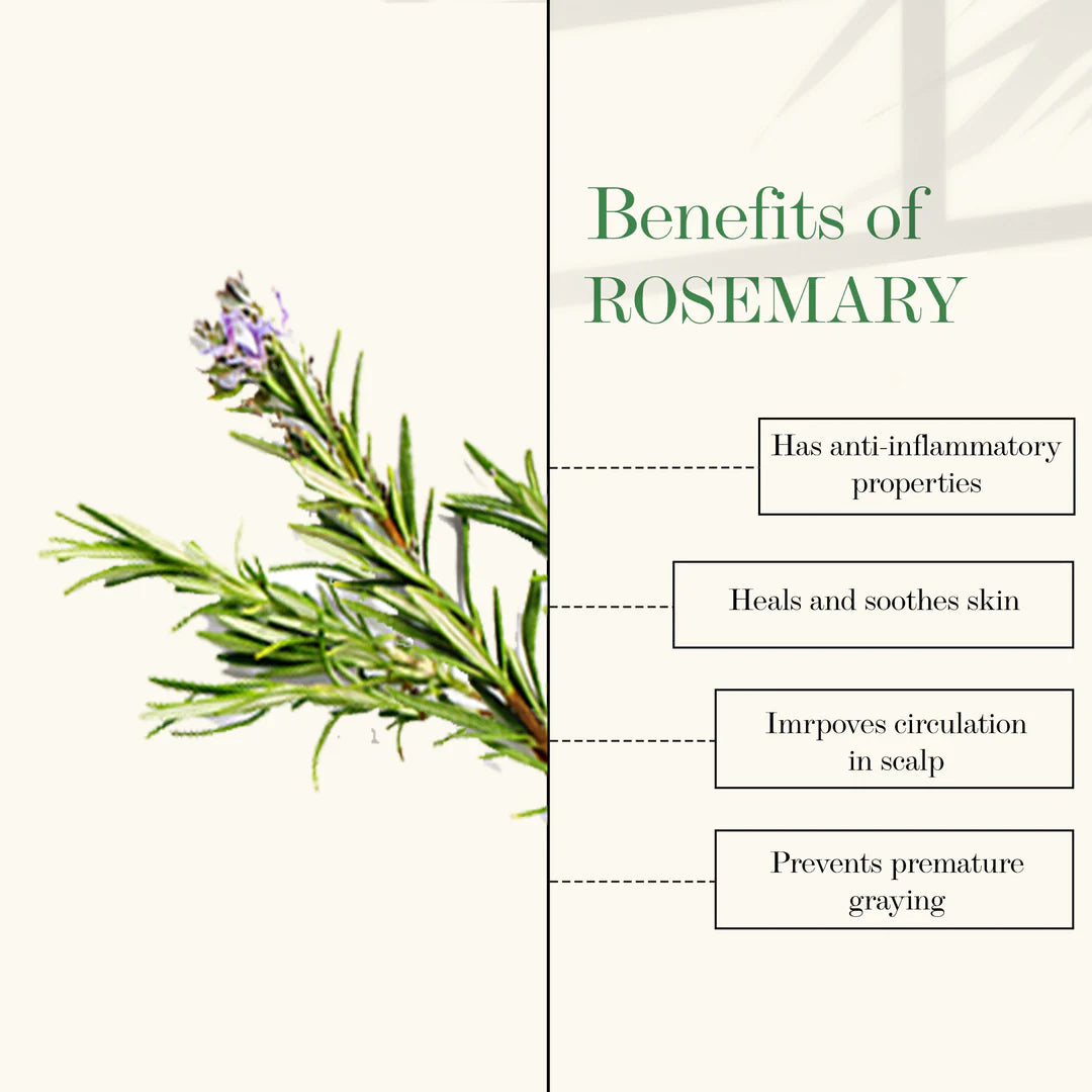 Rosemary 100% Pure Essential Oil For Hair 60ml