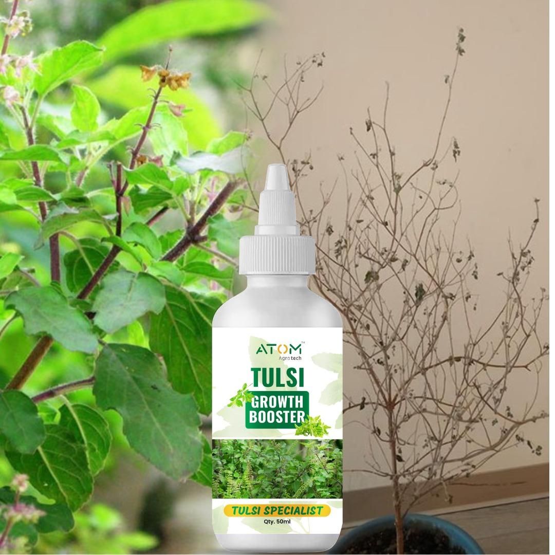 Tulsi Growth Booster (BUY 1 GET 1 FREE)